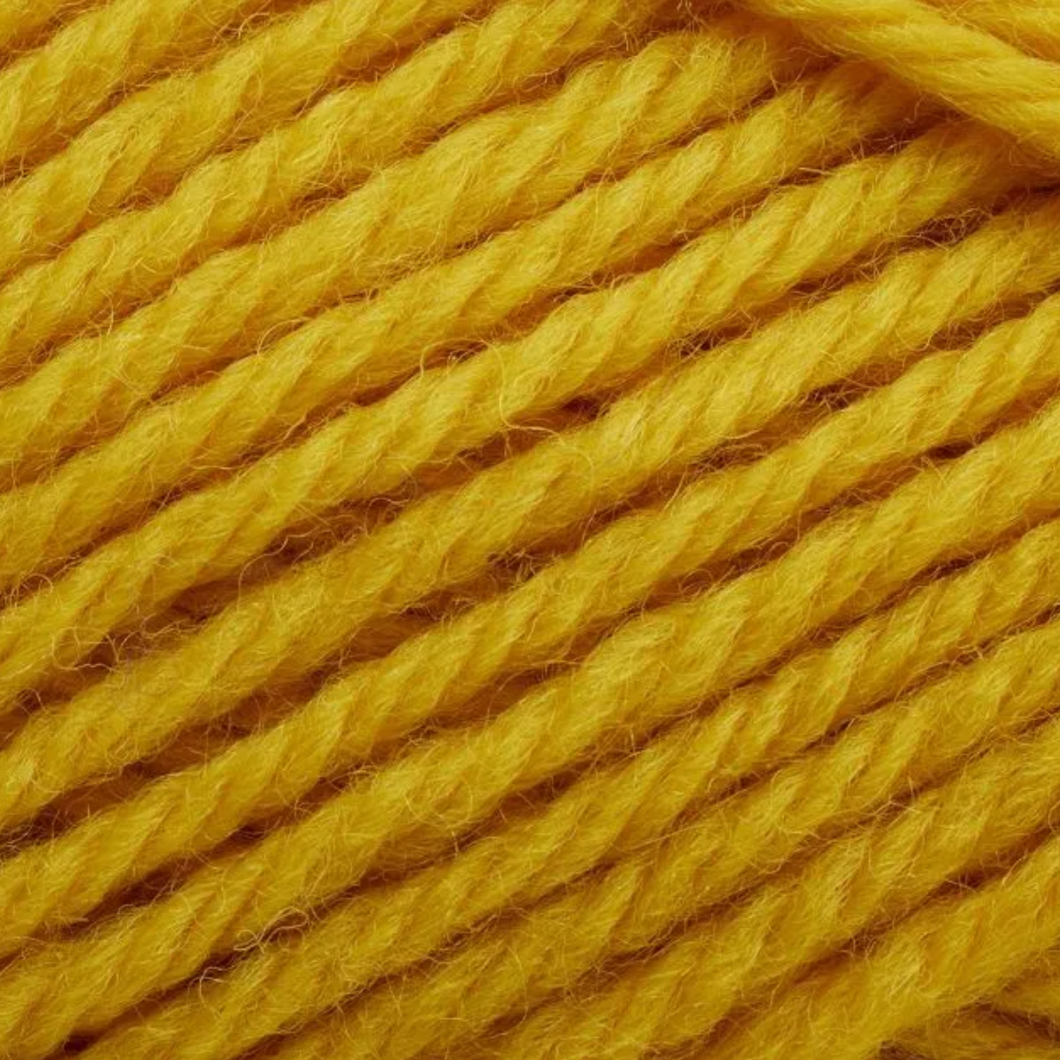 223 